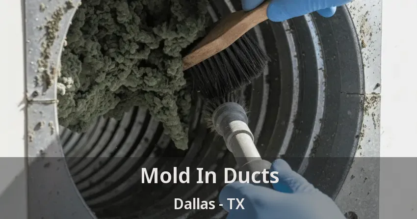 Mold In Ducts Dallas - TX