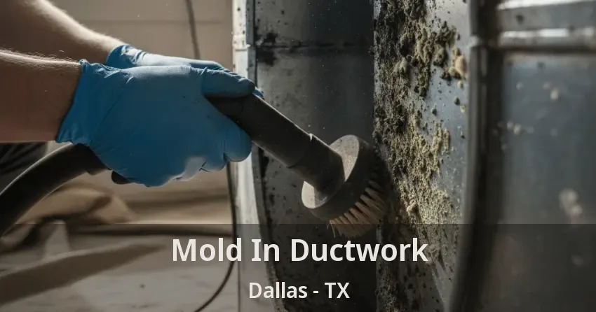 Mold In Ductwork Dallas - TX
